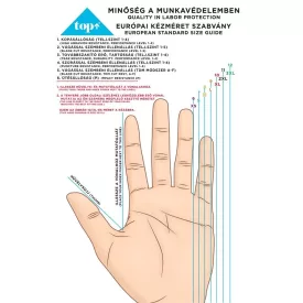 Kesztyű mérettáblázat top