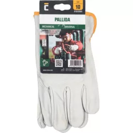 Pallida akasztófüle