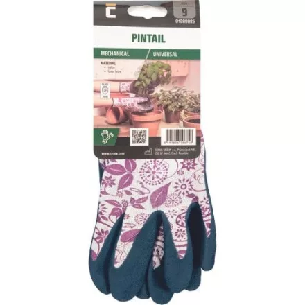 Pintail akasztófüles