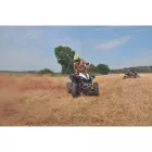 Crambe softshell dzseki