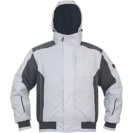 Dayboro pilot dzseki