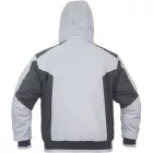 Dayboro pilot dzseki