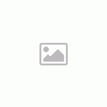 Portwest WX2 Eco Softshell dzseki
