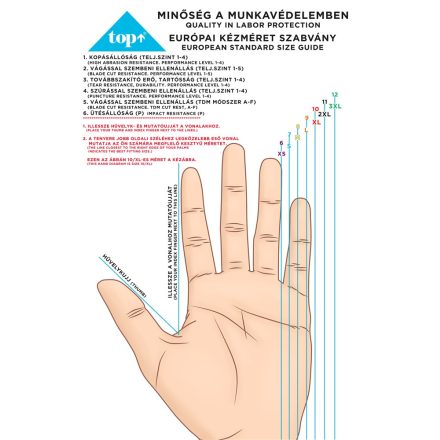 Kesztyű mérettáblázat TOP